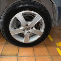 4 Cerchi in Lega Momo