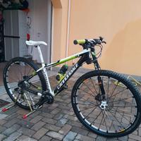 Bici mtb