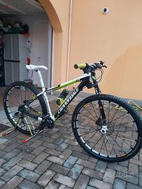 Bici mtb