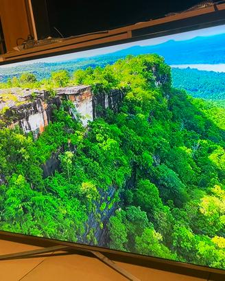 Smart tv Samsung 55 pollici 4k