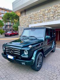 Mercedes G350 Bluetech