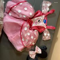 Costume di carnevale Minni