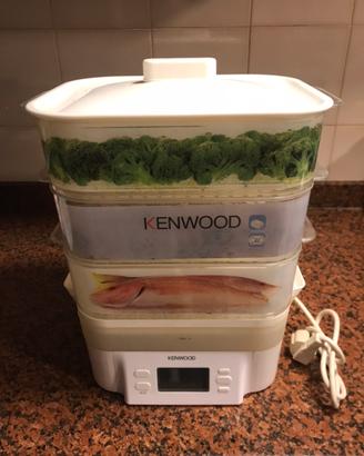 Vaporiera Kenwood FS470