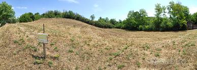 Terreno edificabile e agricolo