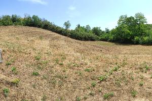 Terreno edificabile e agricolo