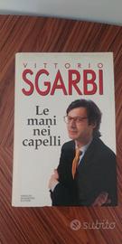 libro di Vittorio Sgarbi