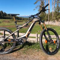 Mountain Bike Spitzing Evolution Bobby Root