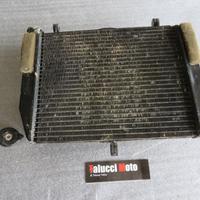 YAMAHA R6 99 02 RADIATORE CON VENTOLA