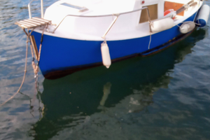 Gozzo con motore entrobordo a gasolio