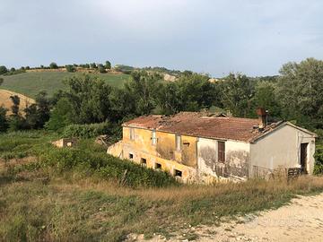 Azienda Agricola Biologica