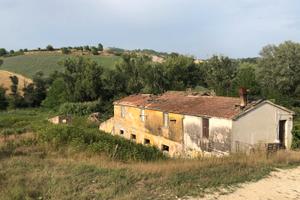 Azienda Agricola Biologica