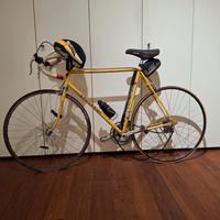bicicletta da corsa - colnago 
