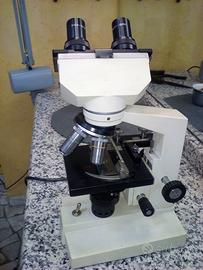 microscopio  ph-metro dermatis luce wood 