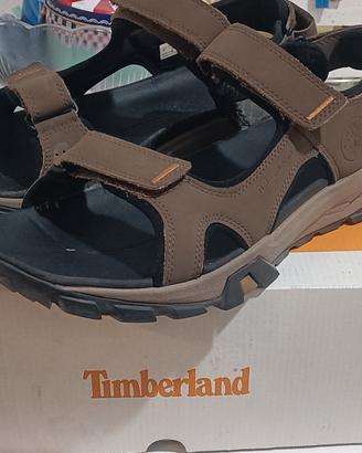 Sandali Timberland Lincoln Peak Backstrap Cocoa
