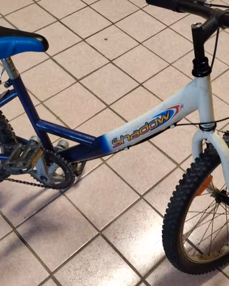 Bicicletta Bambino 20 pollici