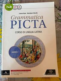 LIBRO GRAMMATICA PICTA lezioni 2