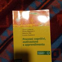 Processi cognitivi, motivazione e apprendimento.