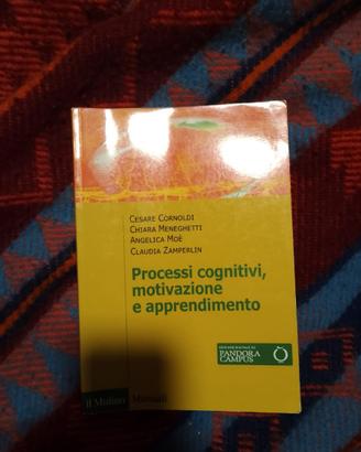 Processi cognitivi, motivazione e apprendimento.