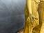 Immagine 14