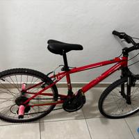 Bicicletta ragazzo allestita BMX