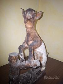 Capra Capretto d'arredamento
