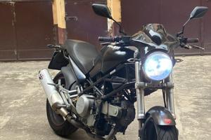 Ducati monster