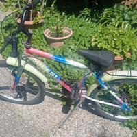 Bicicletta per bambino