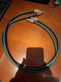 cardas clear reflection  xlr 1m
