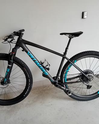 mtb specialized 