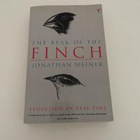 The beak of the Finch