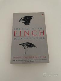 The beak of the Finch