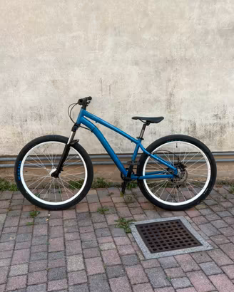 whellie bike (descrizione)