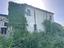 Immagine 14