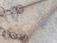 Immagine 1