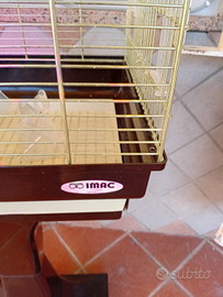 Gabbia per pappagalli