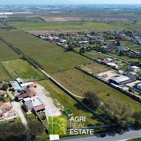 Vigneto di 10 HA ca. con uliveto