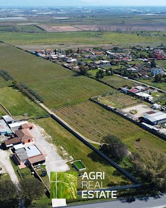 Vigneto di 10 HA ca. con uliveto
