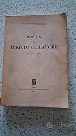 Nozioni e appunti di Diritto del lavoro 