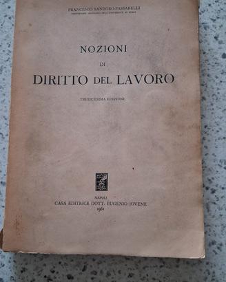 Nozioni e appunti di Diritto del lavoro 