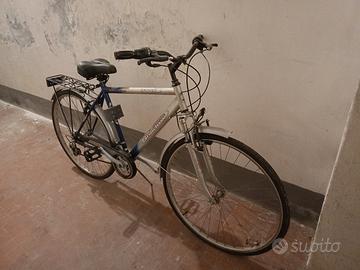 bicicletta da passeggio