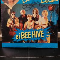Disco vinile LP autografato originale 