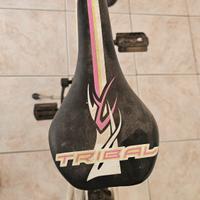 bici  donna misura grande 