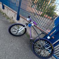 Wheelie bike