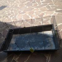 gabbia per criceti/conigli