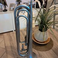 tromba da collezione 