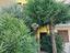Immagine 25
