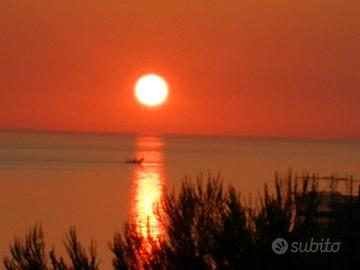 Falconara marittima ( rif. e96-3481)