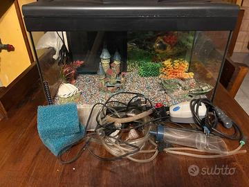 Acquario con accessori