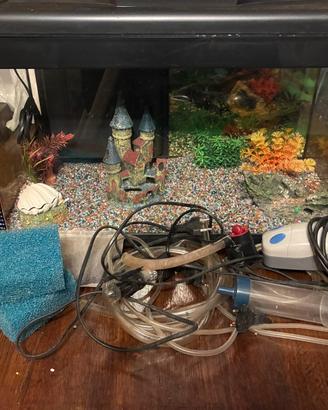 Acquario con accessori