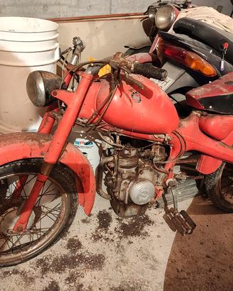 Motom SS 48 